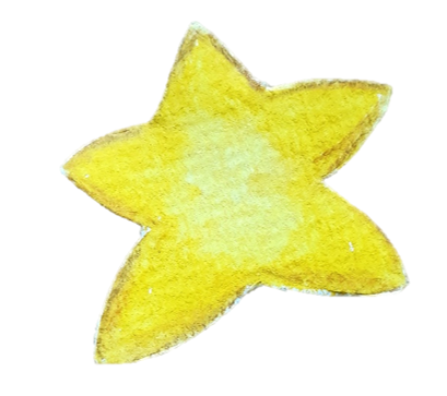 gelber Weihnachtsstern Aquarellzeichnung